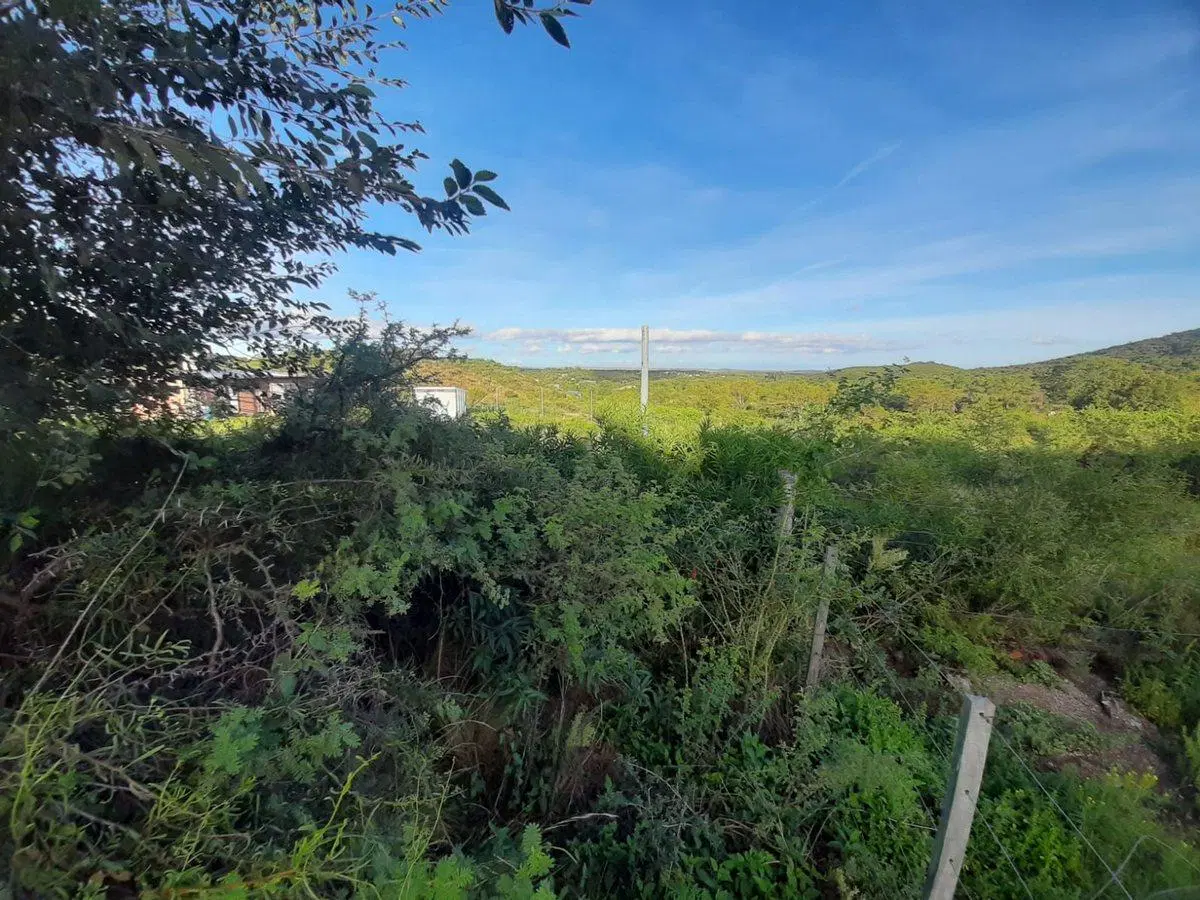 VENTA DE TERRENO EN ESTANCIA GRANDE SAN LUIS 5