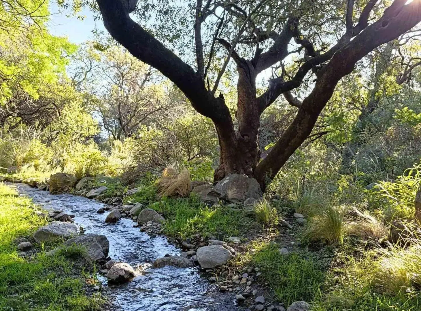 Terreno en venta Oportunidad en Calaguala, Merlo. 7