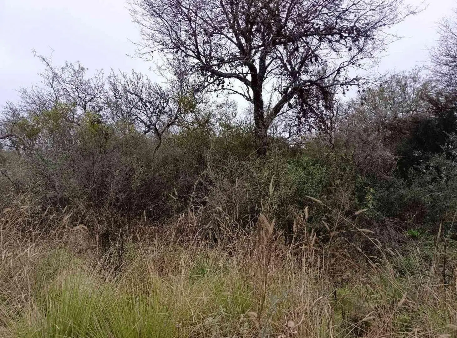 Terreno en venta en Merlo, Ruta 5 5