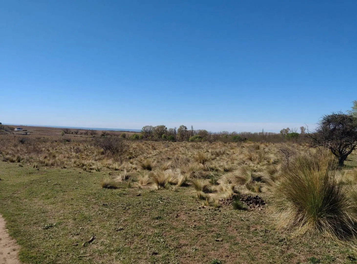 VENTA CAMPO 2Ha EN ESTANCIA GRANDE SAN LUIS 4