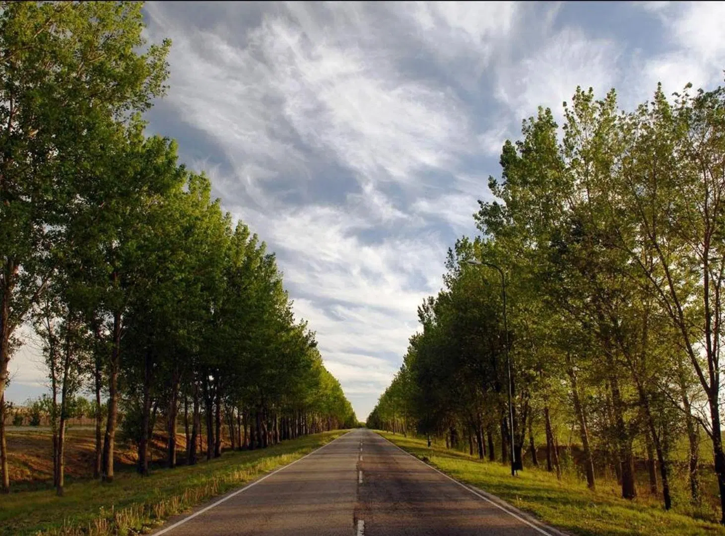 VENTA CAMPO 2Ha EN ESTANCIA GRANDE SAN LUIS 2