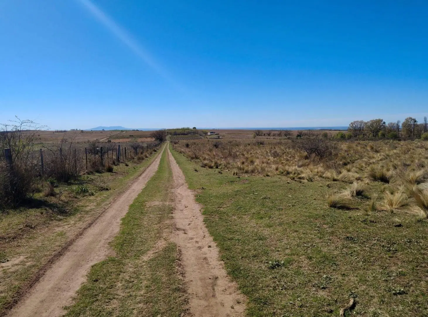VENTA CAMPO 2Ha EN ESTANCIA GRANDE SAN LUIS 3
