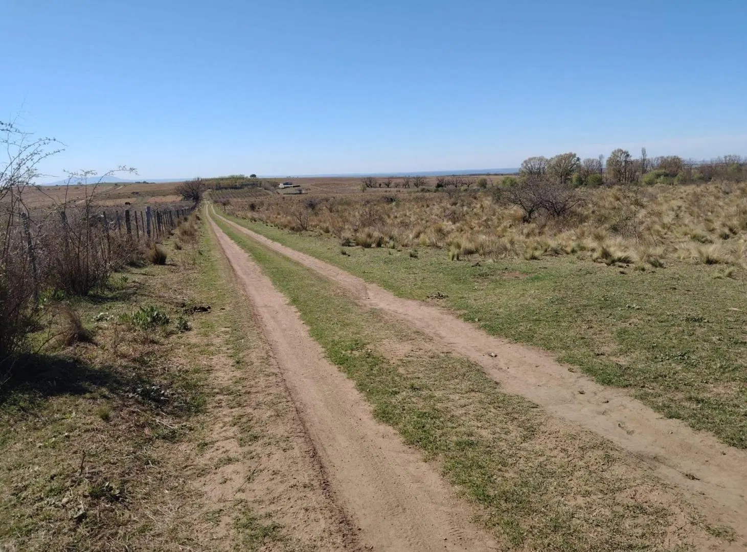 VENTA CAMPO 2Ha EN ESTANCIA GRANDE SAN LUIS 5