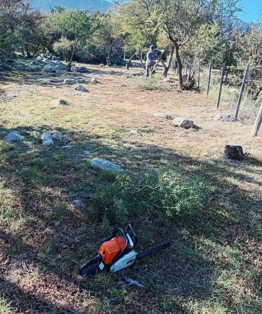 OPORTUNIDAD- Venta Terreno en Cortaderas 1000m2 5