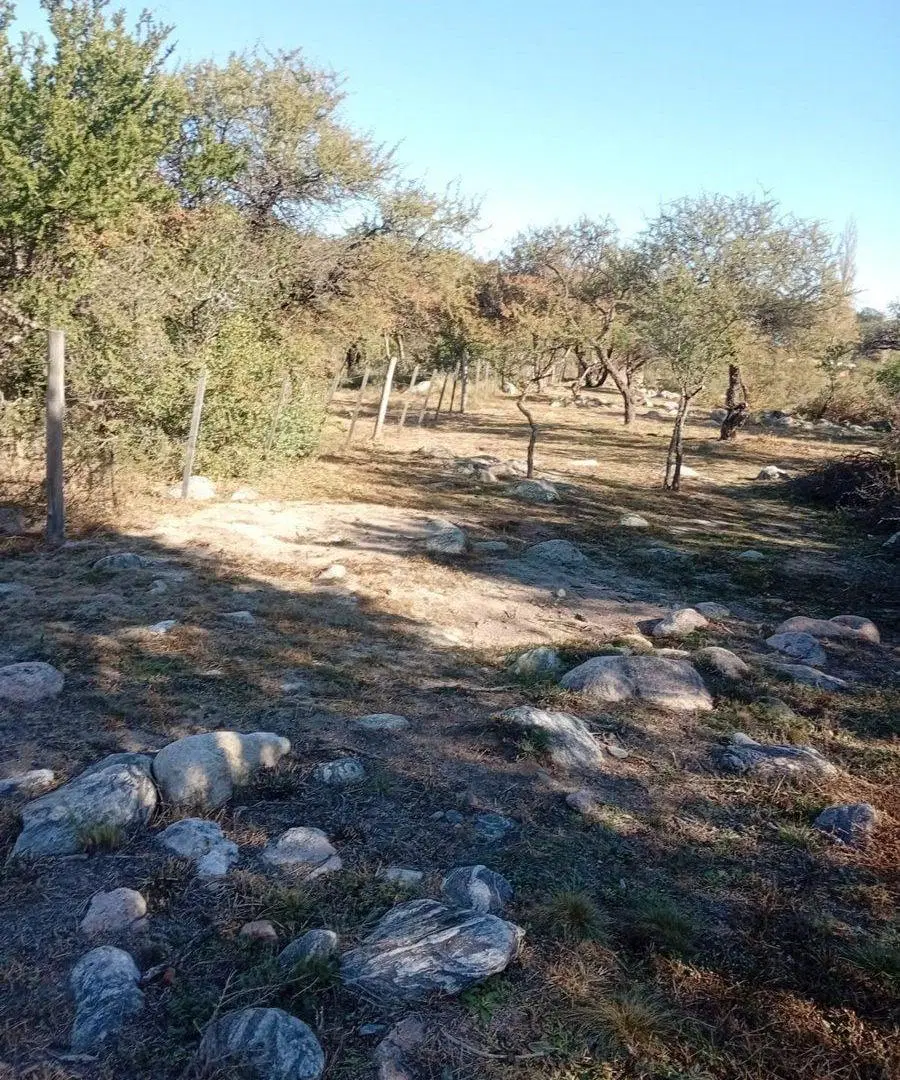 OPORTUNIDAD- Venta Terreno en Cortaderas 1000m2 2