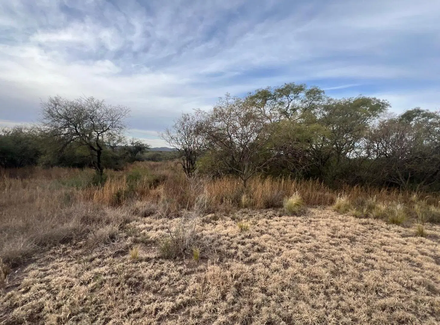 SE VENDE 1 HECTAREA DE CAMPO 2