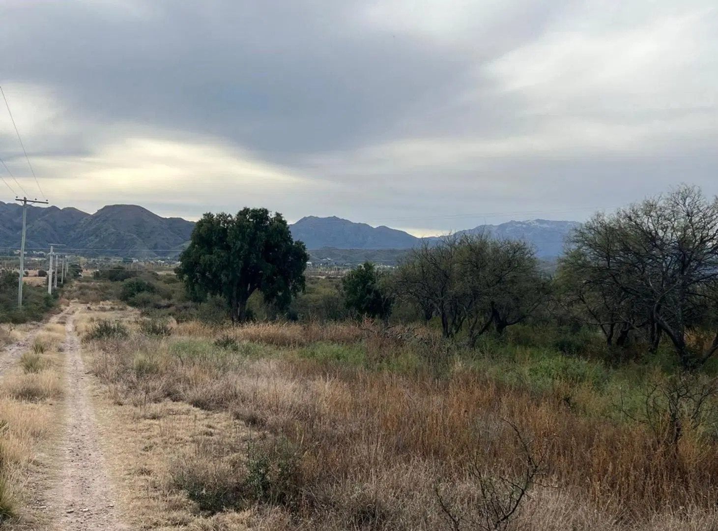SE VENDE 1 HECTAREA DE CAMPO 3
