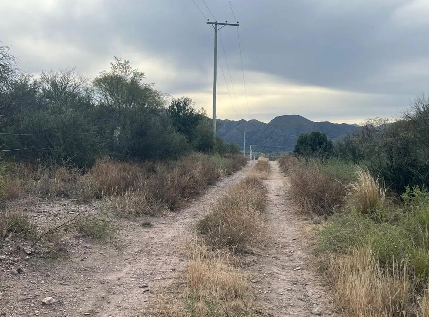 SE VENDE 1 HECTAREA DE CAMPO 5