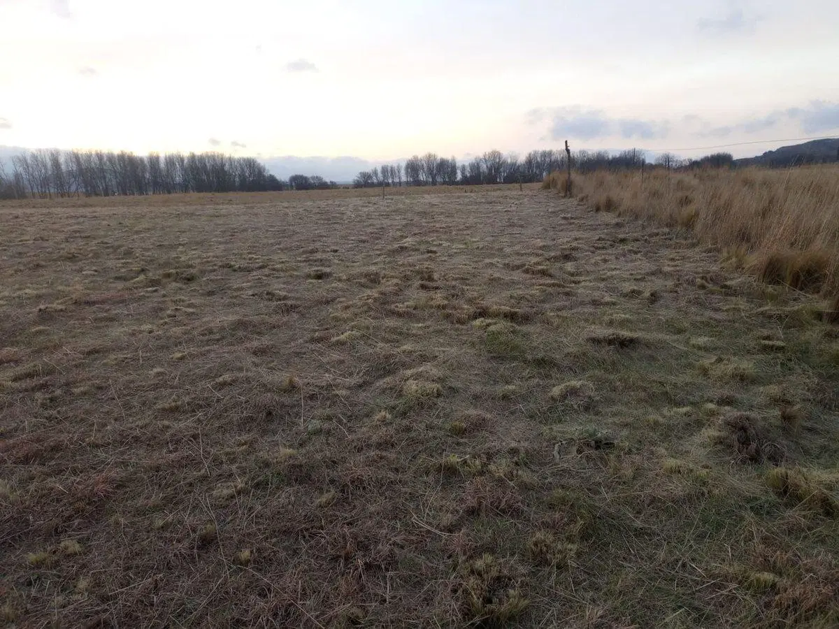 VENTA URGENTE TERRENO EN VALLE DE PANCANTA 8