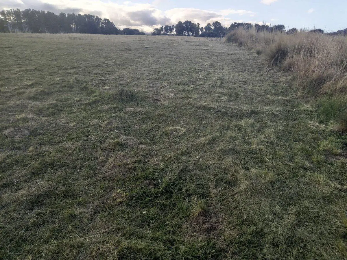 VENTA URGENTE TERRENO EN VALLE DE PANCANTA 3