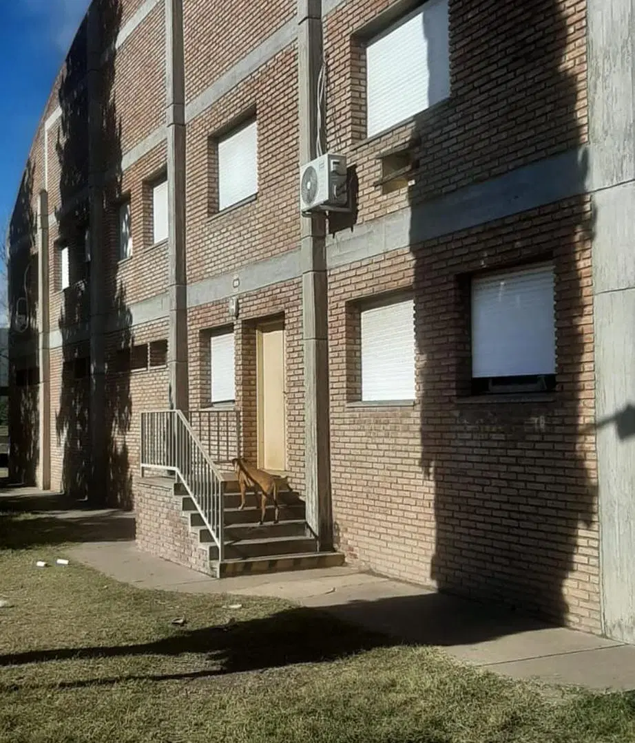 VENDE NAVE EN PARQ. IND. NORTE SAN LUIS 3