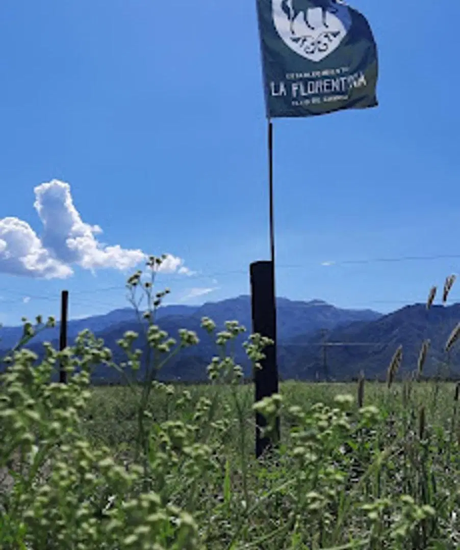 SE VENDE TERRENO 3300M2 LA FLORENTINA – FINANCIADO 7