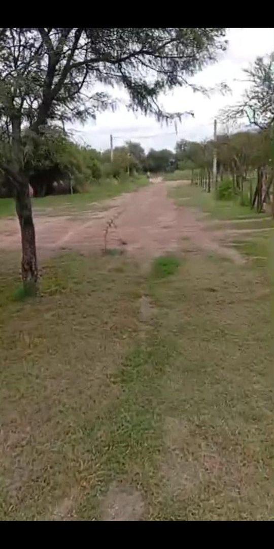Foto de OPORTUNIDAD EN LOS MOLLES – BARRIO LOS TRONCOS II, imagen 5