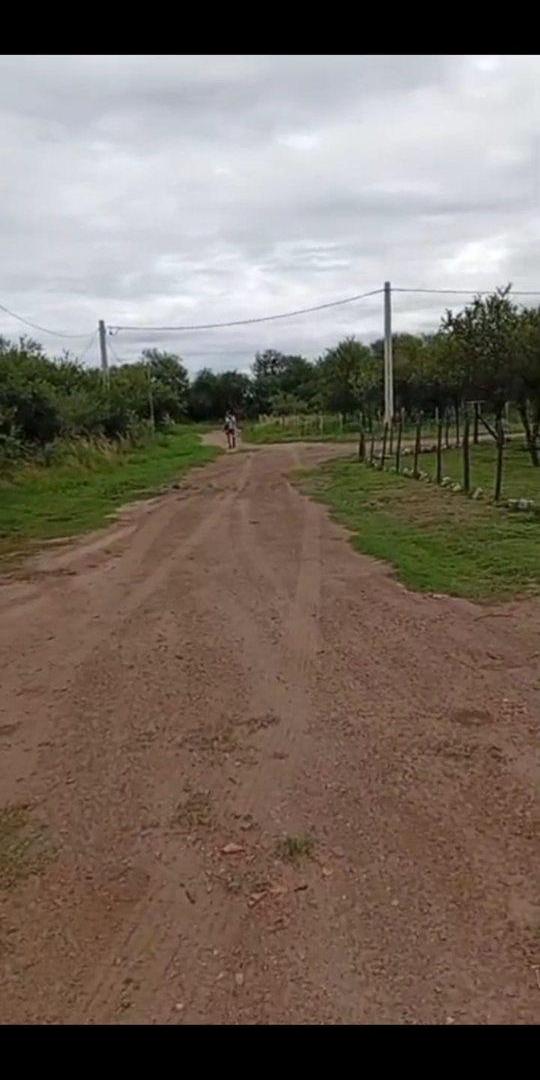 Foto de OPORTUNIDAD EN LOS MOLLES – BARRIO LOS TRONCOS II, imagen 3