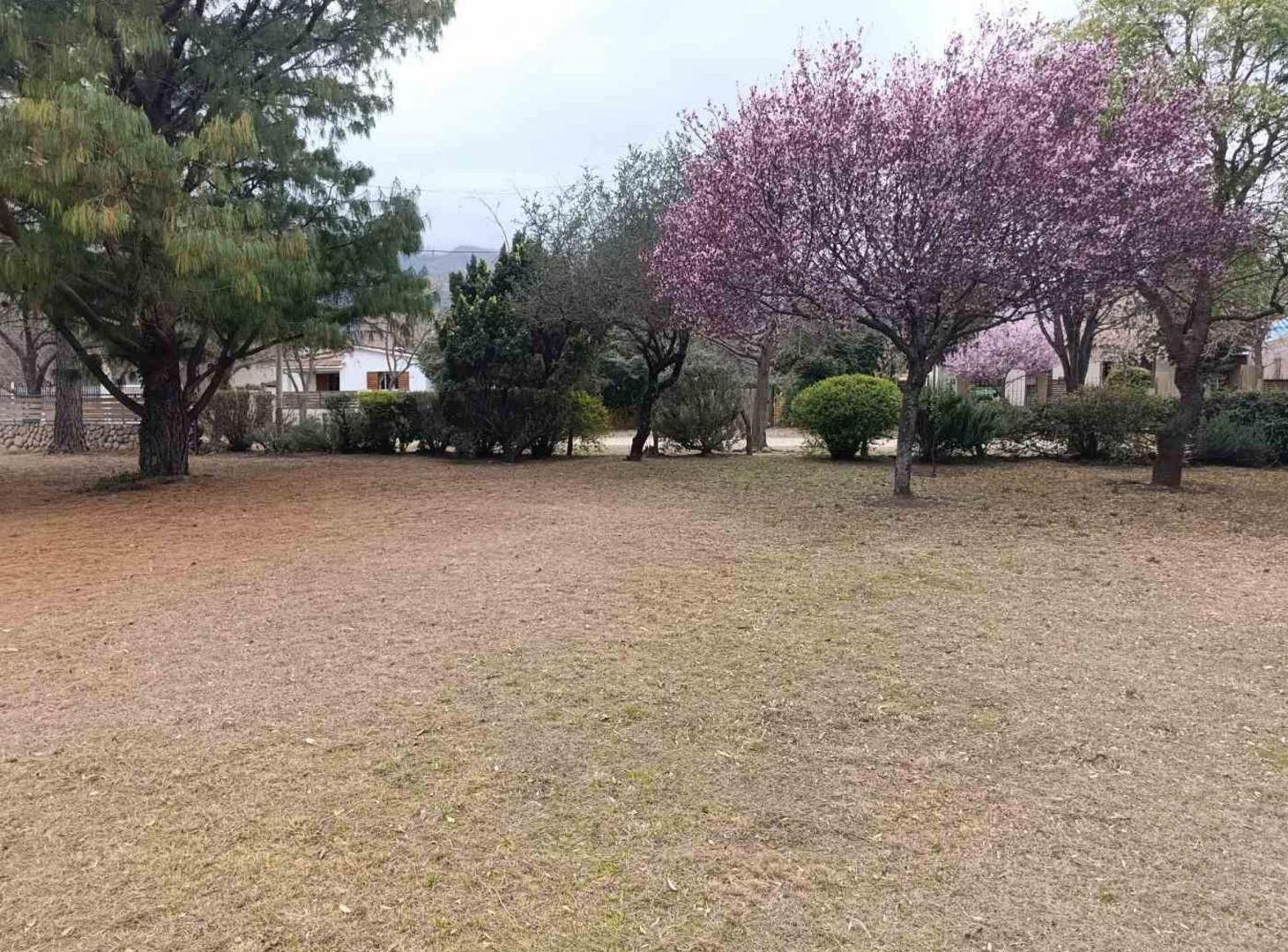 Foto de Hermoso lote a 200 metros de Av. del Sol, Merlo, imagen 4