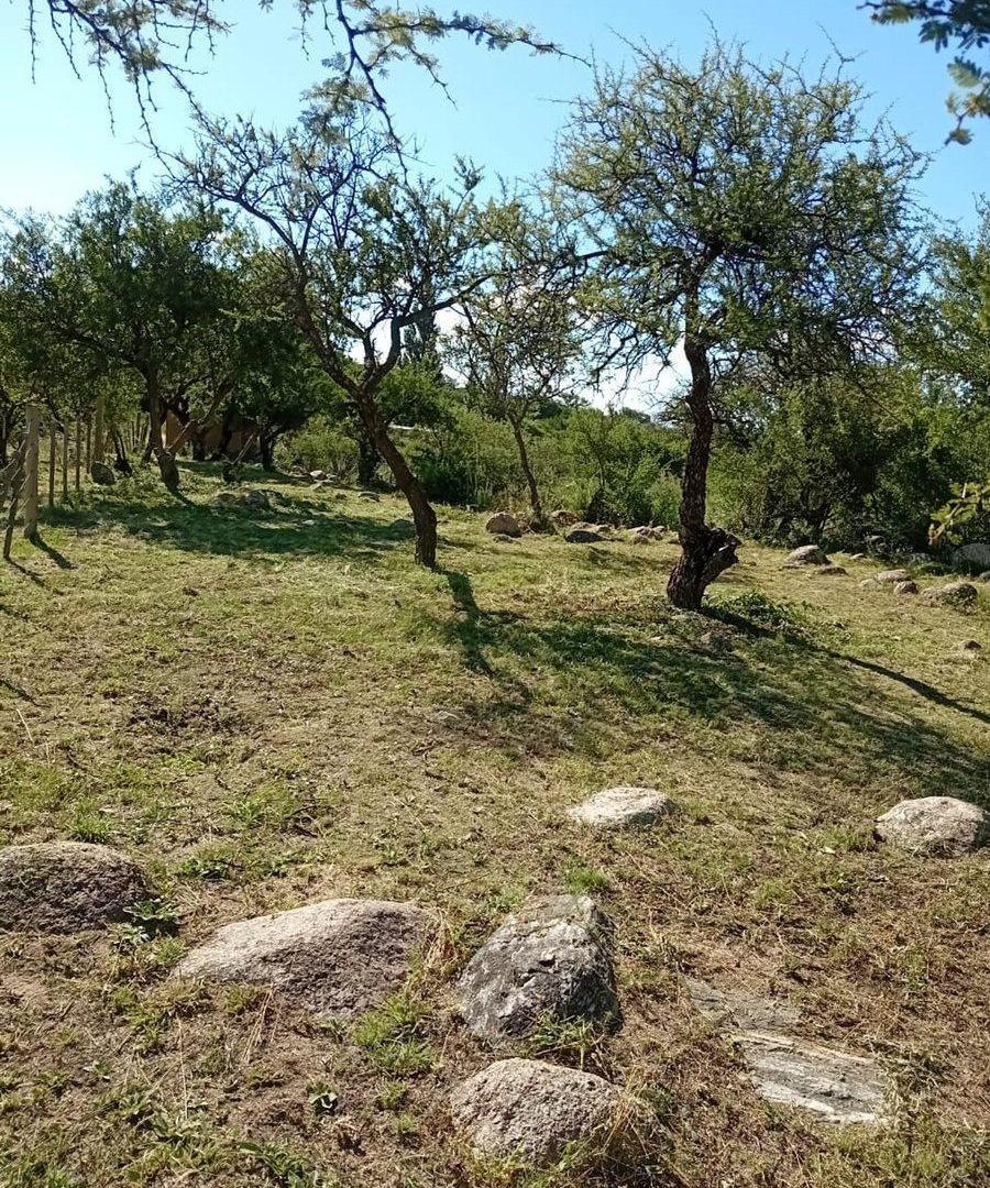 Foto de OPORTUNIDAD- Venta Terreno en Cortaderas 1000m2, imagen 4