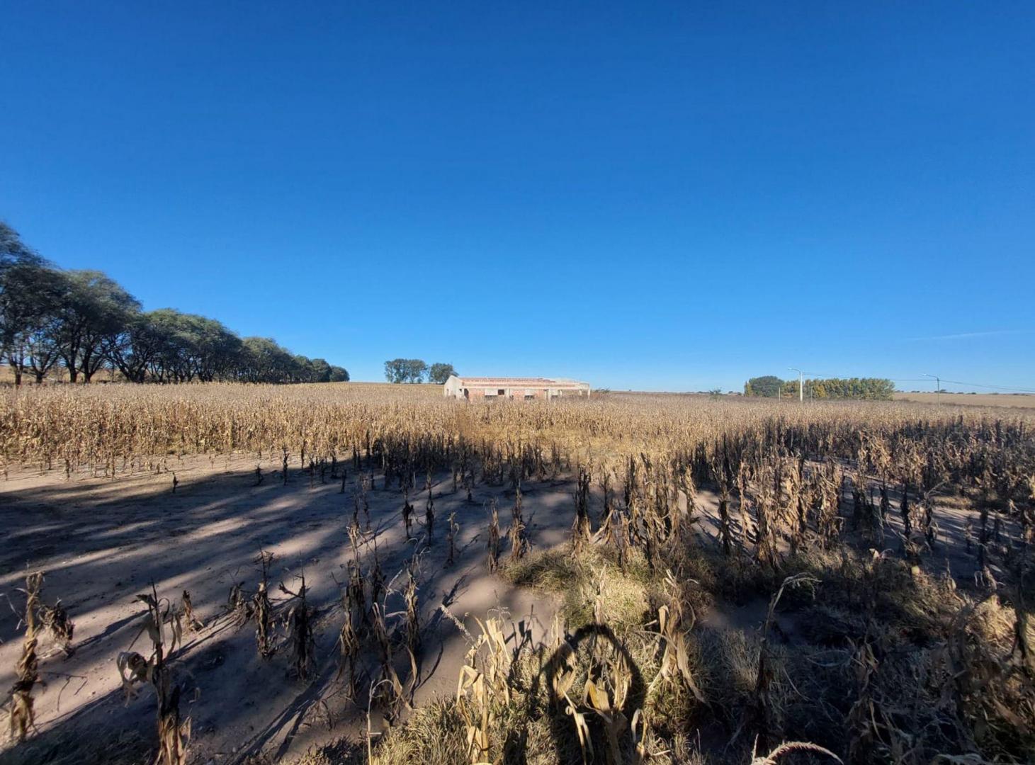 Foto de VENTA CHACRA 2,5 Ha SOBRE RUTA N°9 ESTANCIA GRANDE, imagen 4