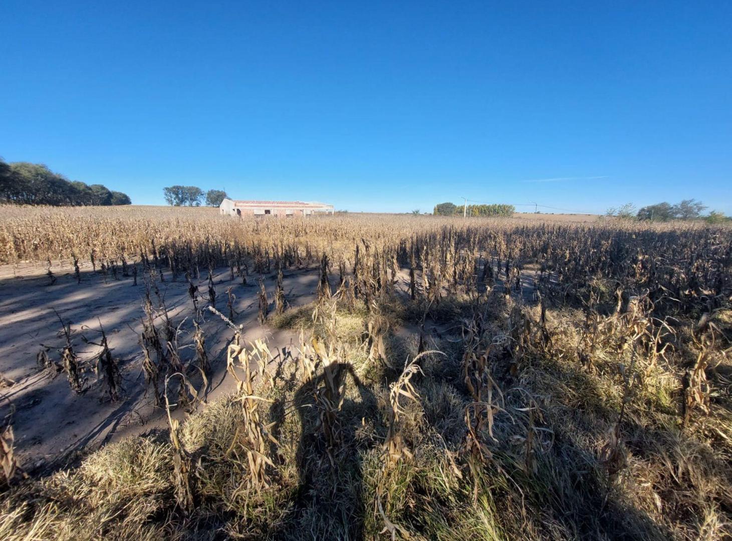 Foto de VENTA CHACRA 2,5 Ha SOBRE RUTA N°9 ESTANCIA GRANDE, imagen 5