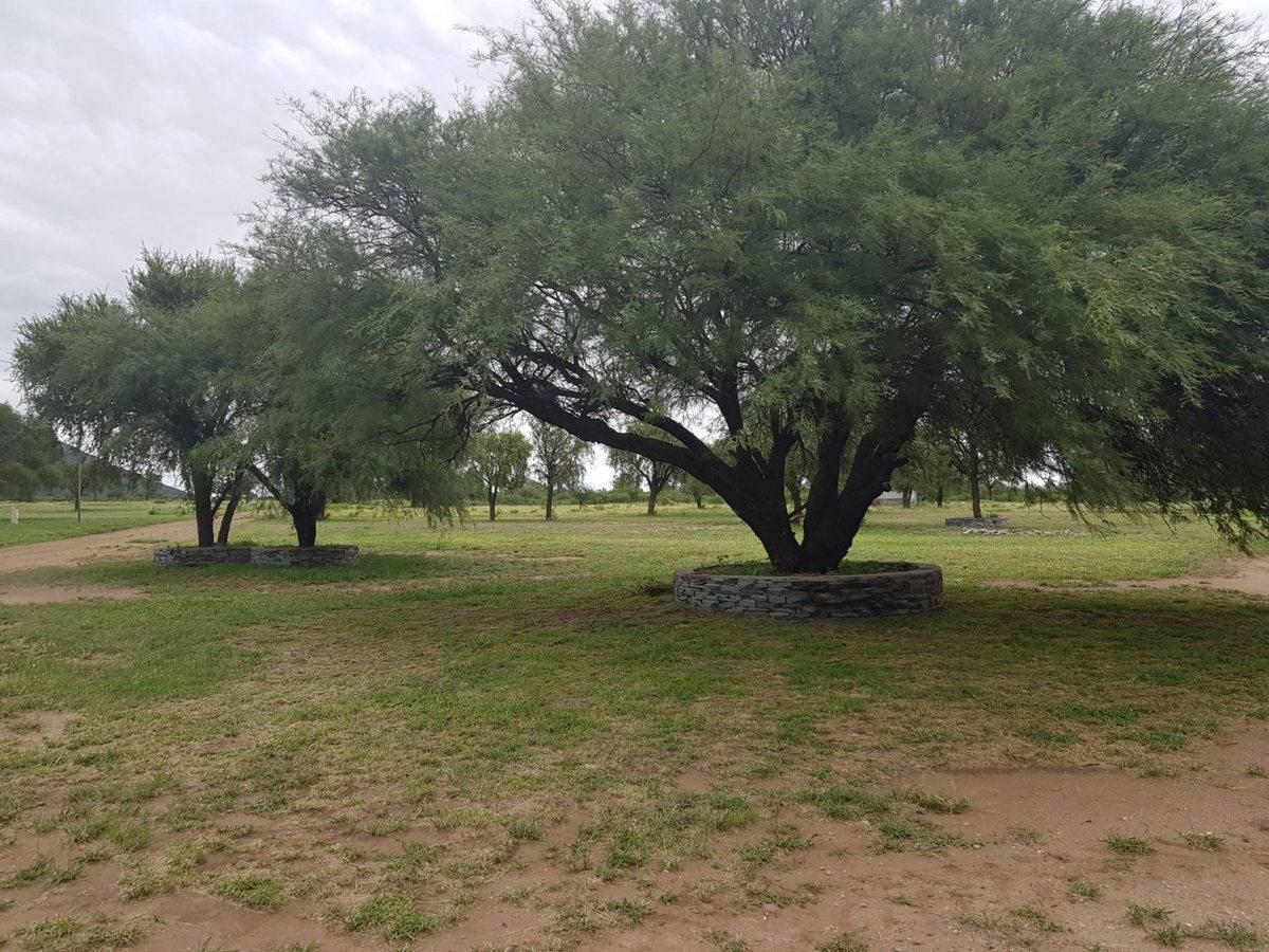 Foto de Lote Premium de 1.024 m² en Fincas del Dique, imagen 5