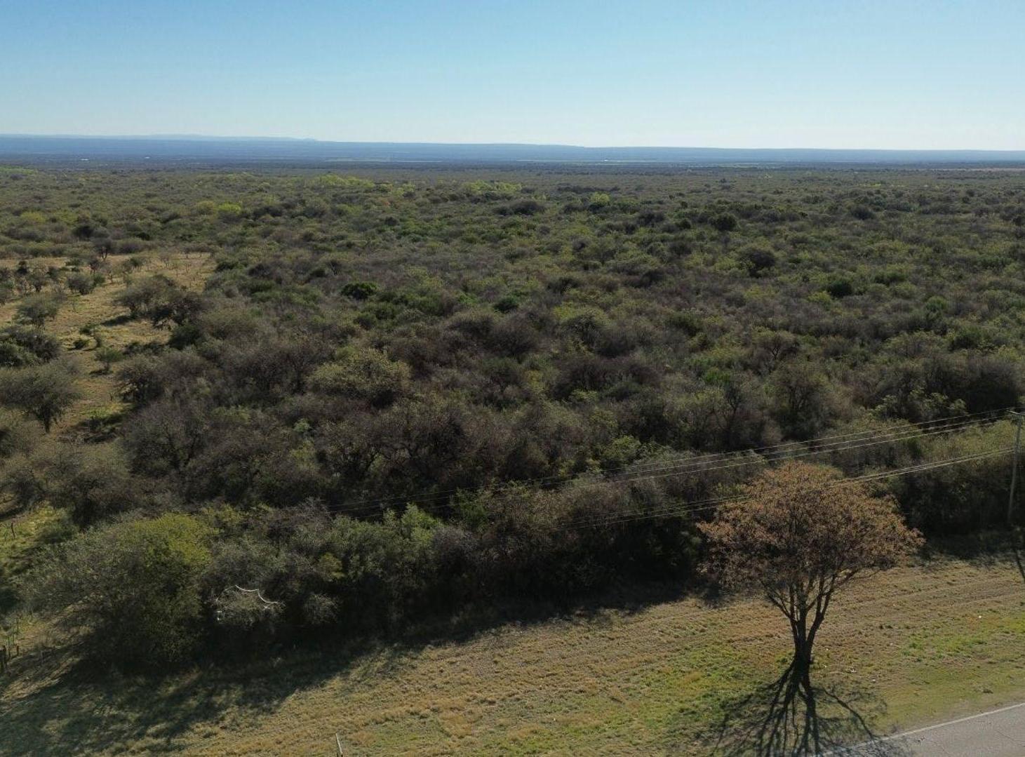Foto de Imponente lote de 22278m2 sobre ruta 1 Merlo SL, imagen 1