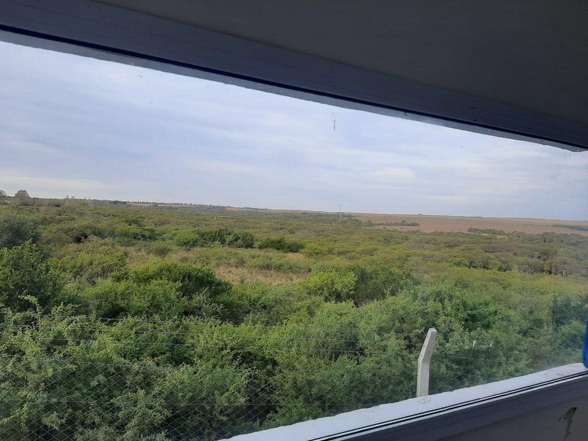 Foto de VENTA DE CASA CON 1 HECTAREA DE PARQUE, imagen 4