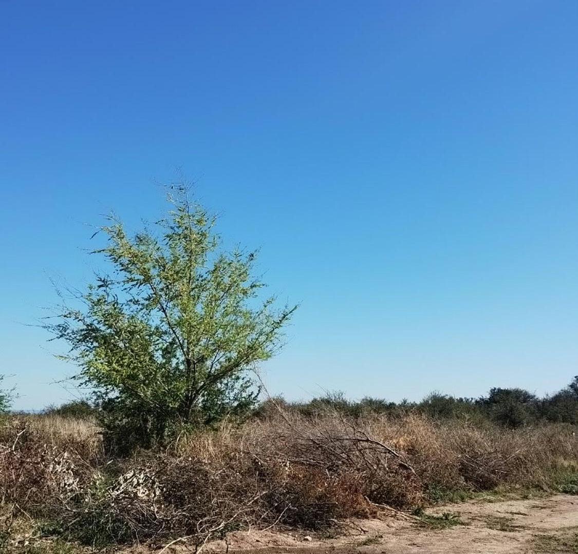 Foto de VENTA LOTE EN VILLA LARCA, imagen 1