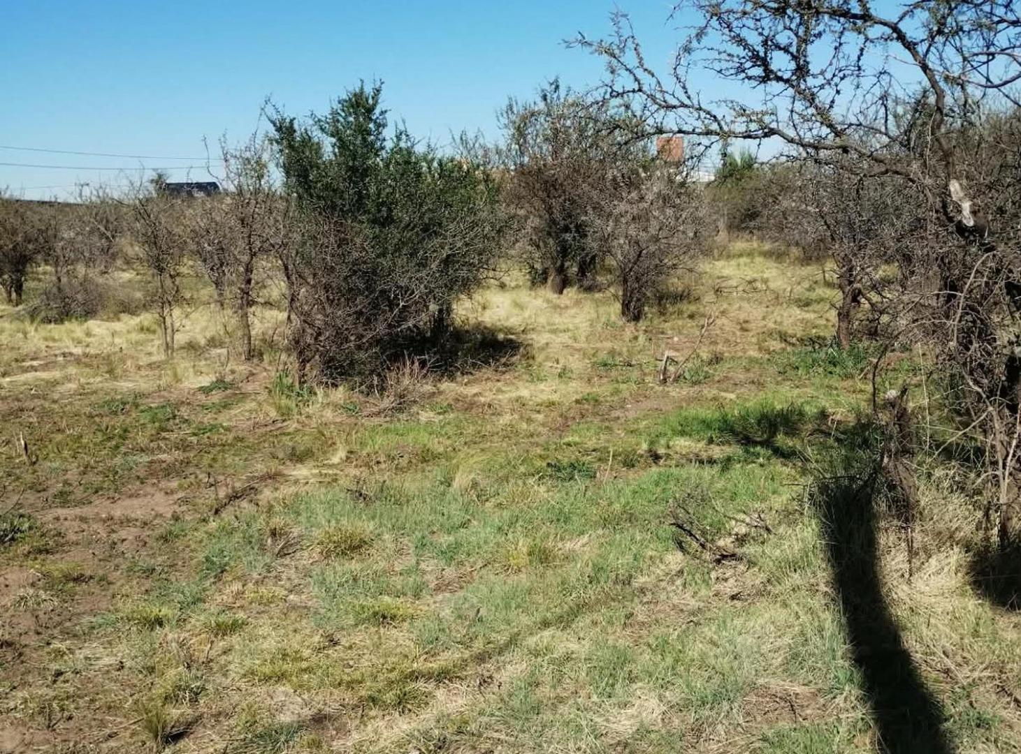Foto de EXCELENTE LOTE EN ¨PUEBLO MIO¨ V. LARCA, imagen 5