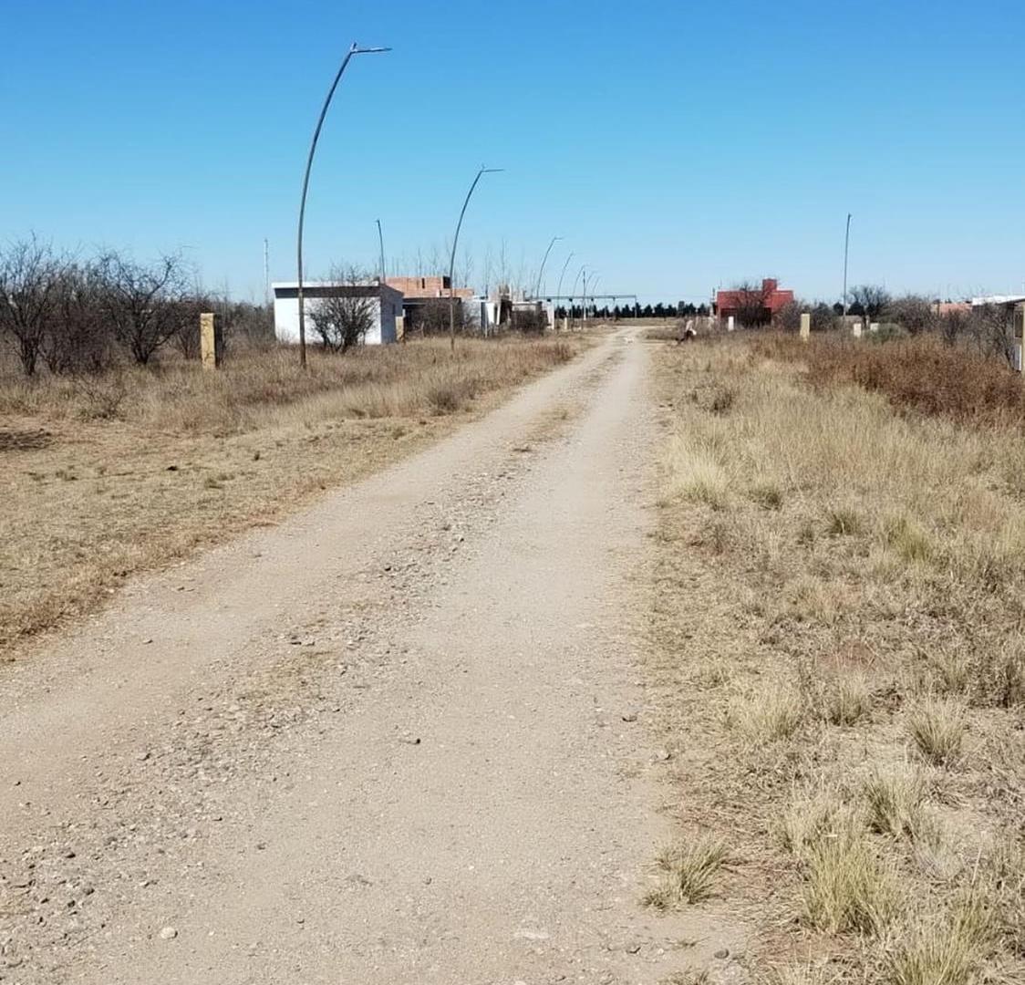 Foto de Lote de 500 m² en Estación Conlara, imagen 4