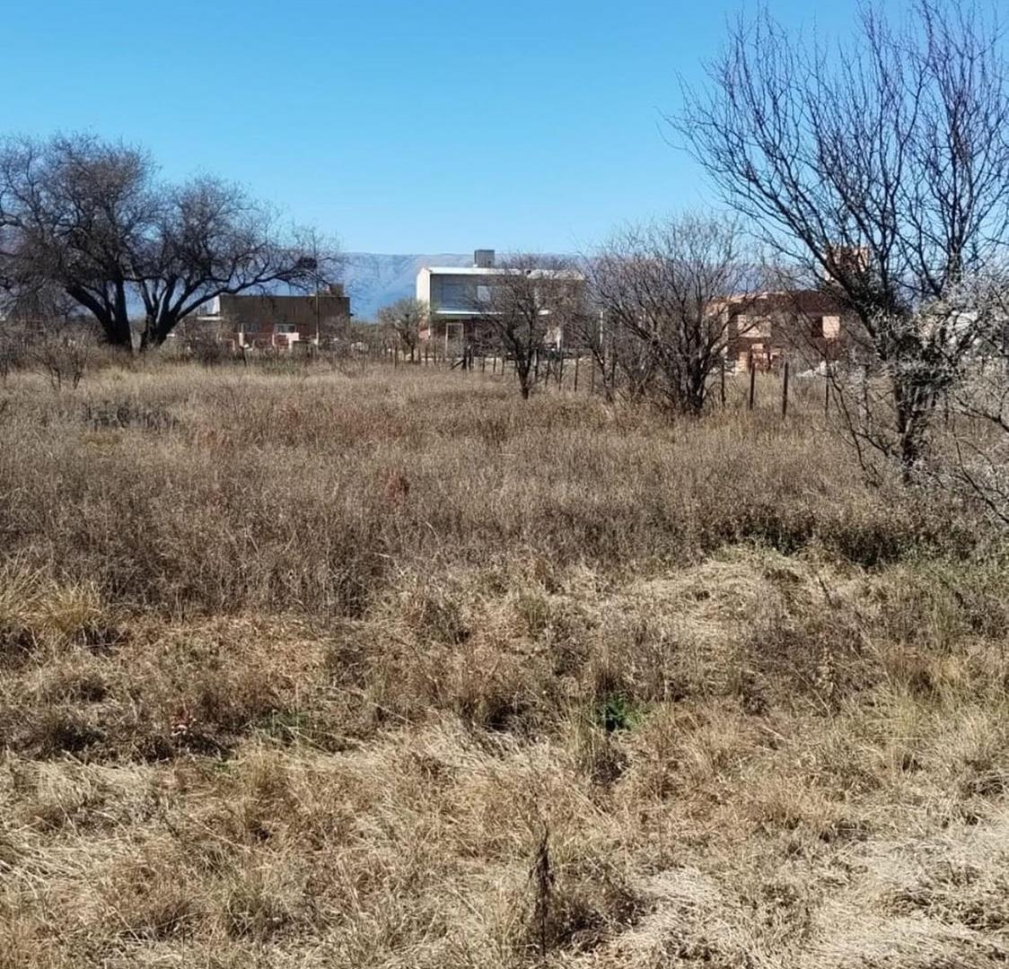 Foto de Lote de 500 m² en Estación Conlara, imagen 2