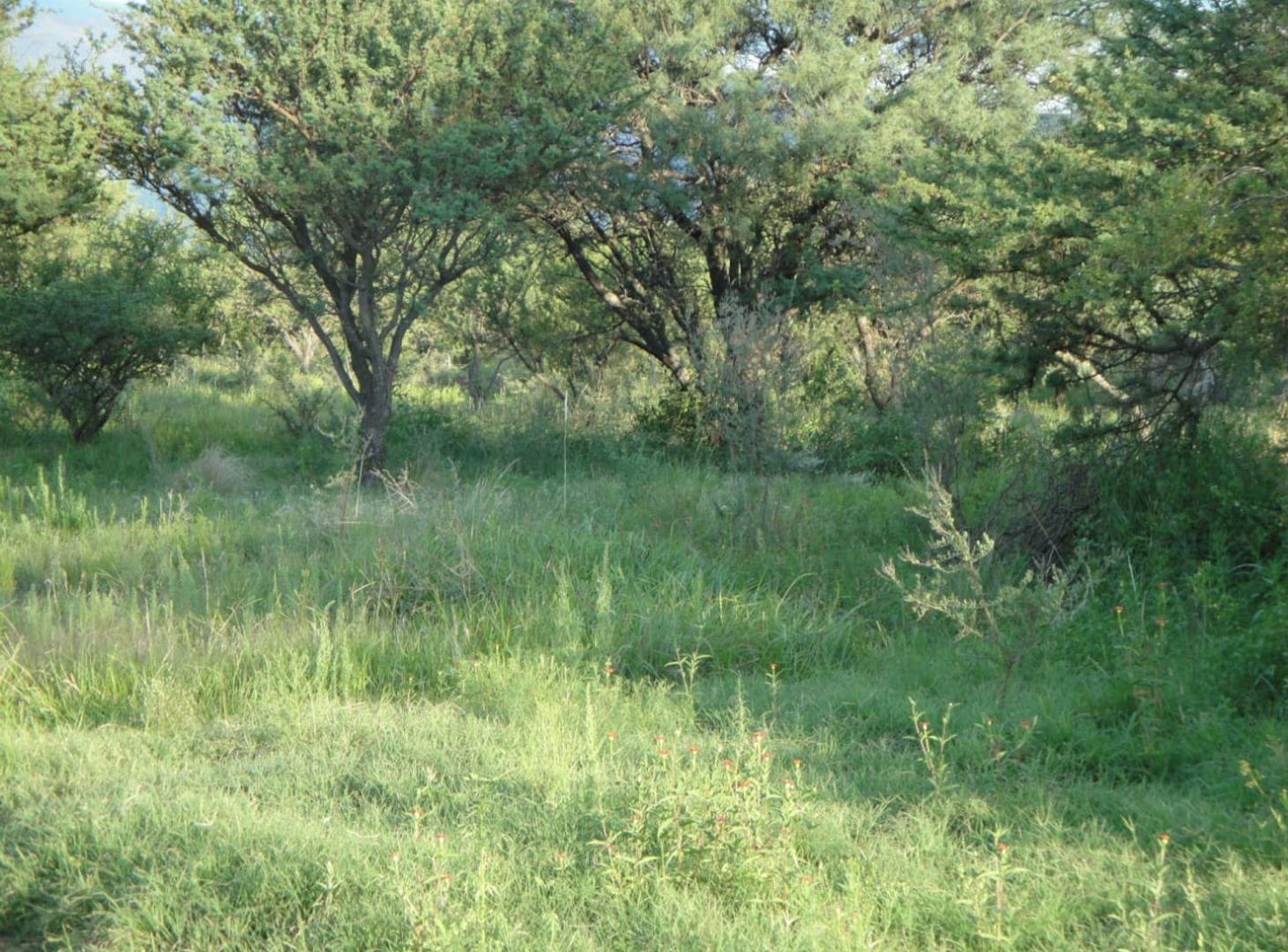 Foto de Dos Lotes en Venta en Carpintería 8.665 M2, imagen 4