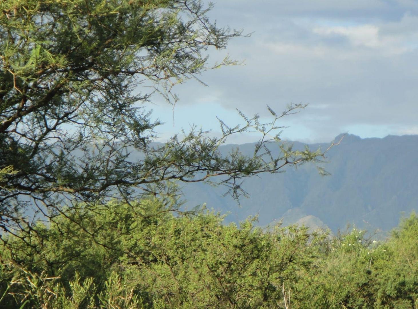 Foto de Dos Lotes en Venta en Carpintería 8.665 M2, imagen 3