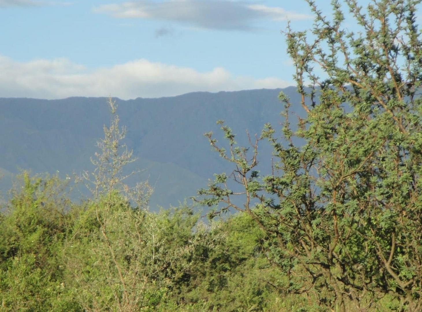Foto de Dos Lotes en Venta en Carpintería 8.665 M2, imagen 1