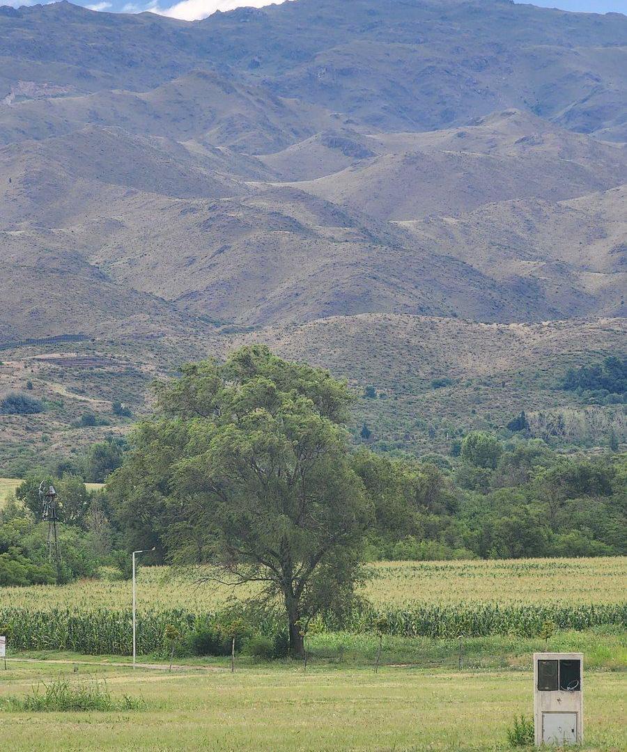 Foto de VENTA DE TERRENO PREMIUM ESTANCIA GRANDE, imagen 3