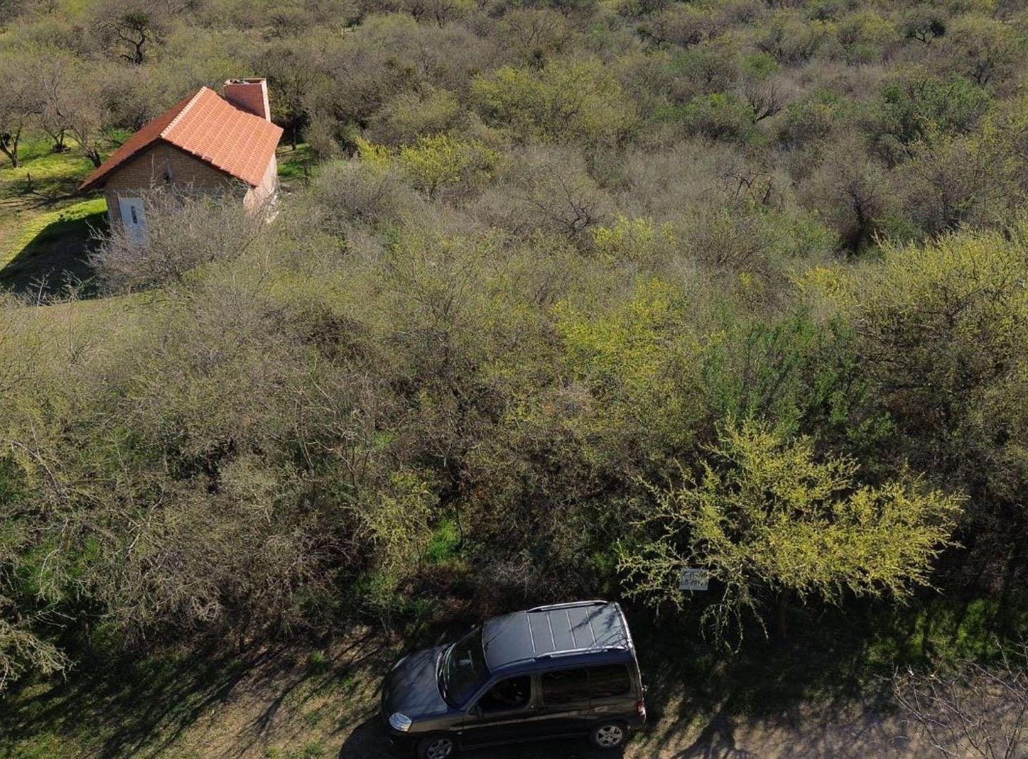 Foto de Venta Amplio lote de 1538,22m2-Carpinteria-San Lui, imagen 3