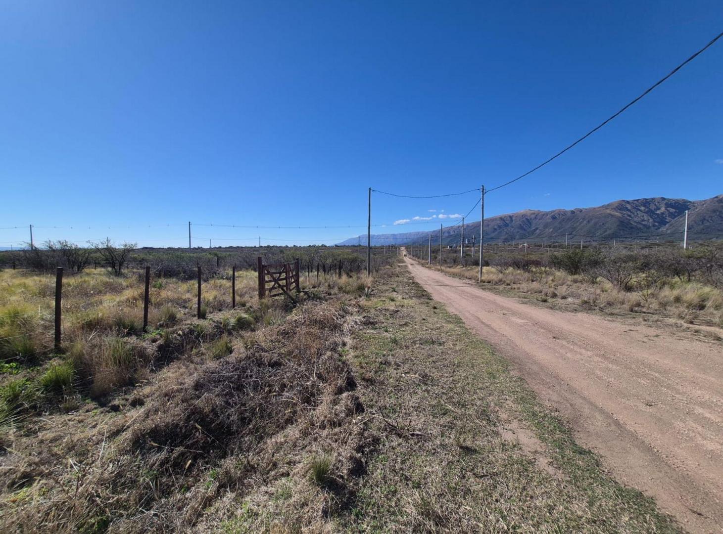 Foto de LOTE EN VENTA 1000M2 | CORTADERAS, imagen 5