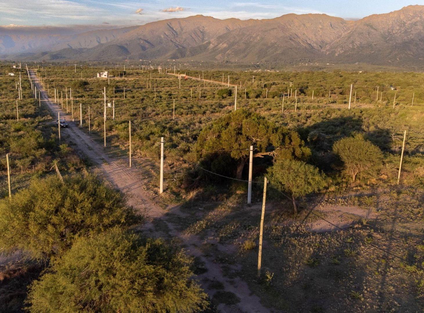 Foto de LOTE EN VENTA 1000M2 | CORTADERAS, imagen 2
