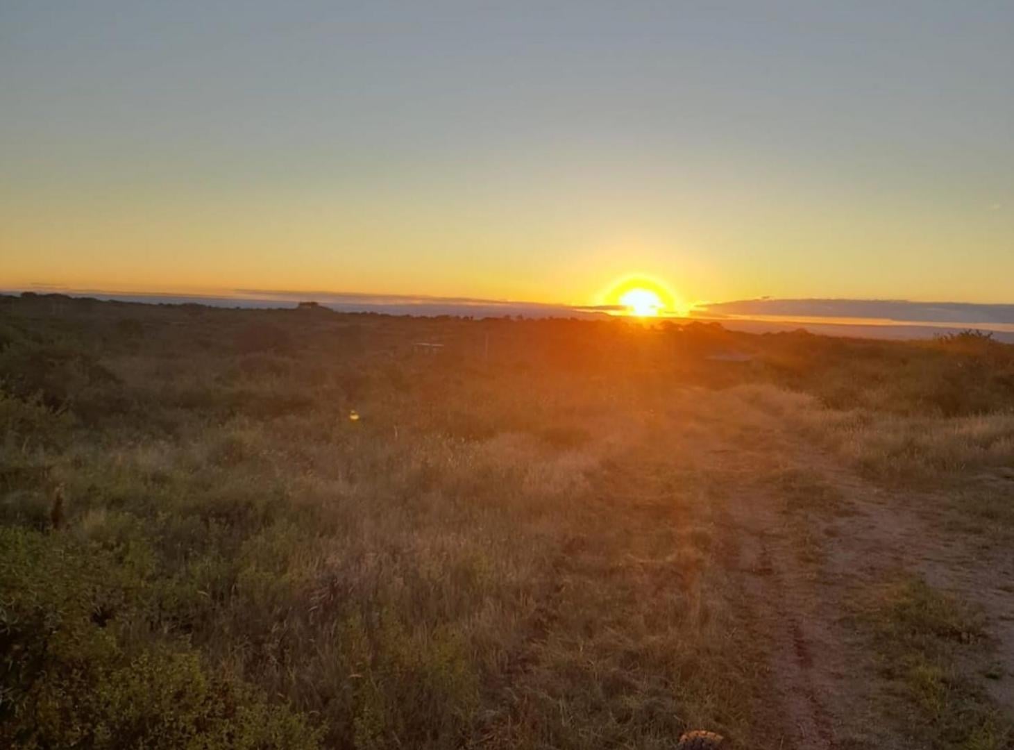 Foto de LOTE EN VENTA 1000M2 | CORTADERAS, imagen 3