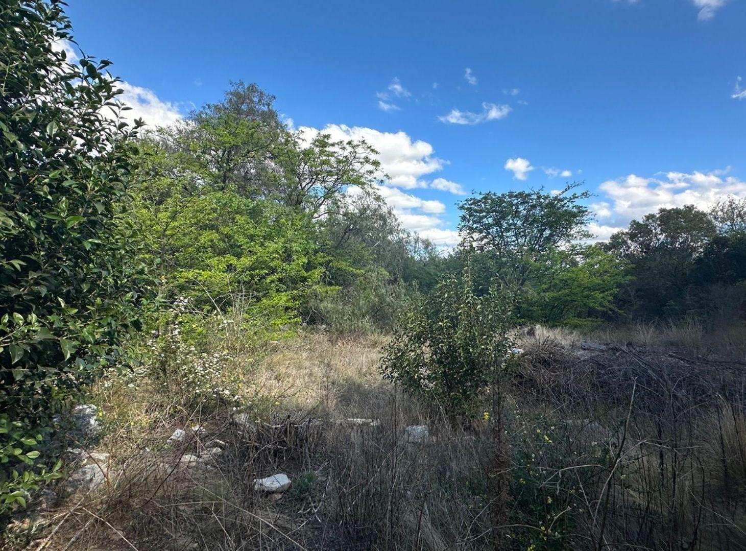 Foto de LOTE DE 1174,27m2 en VILLA ELENA, imagen 3