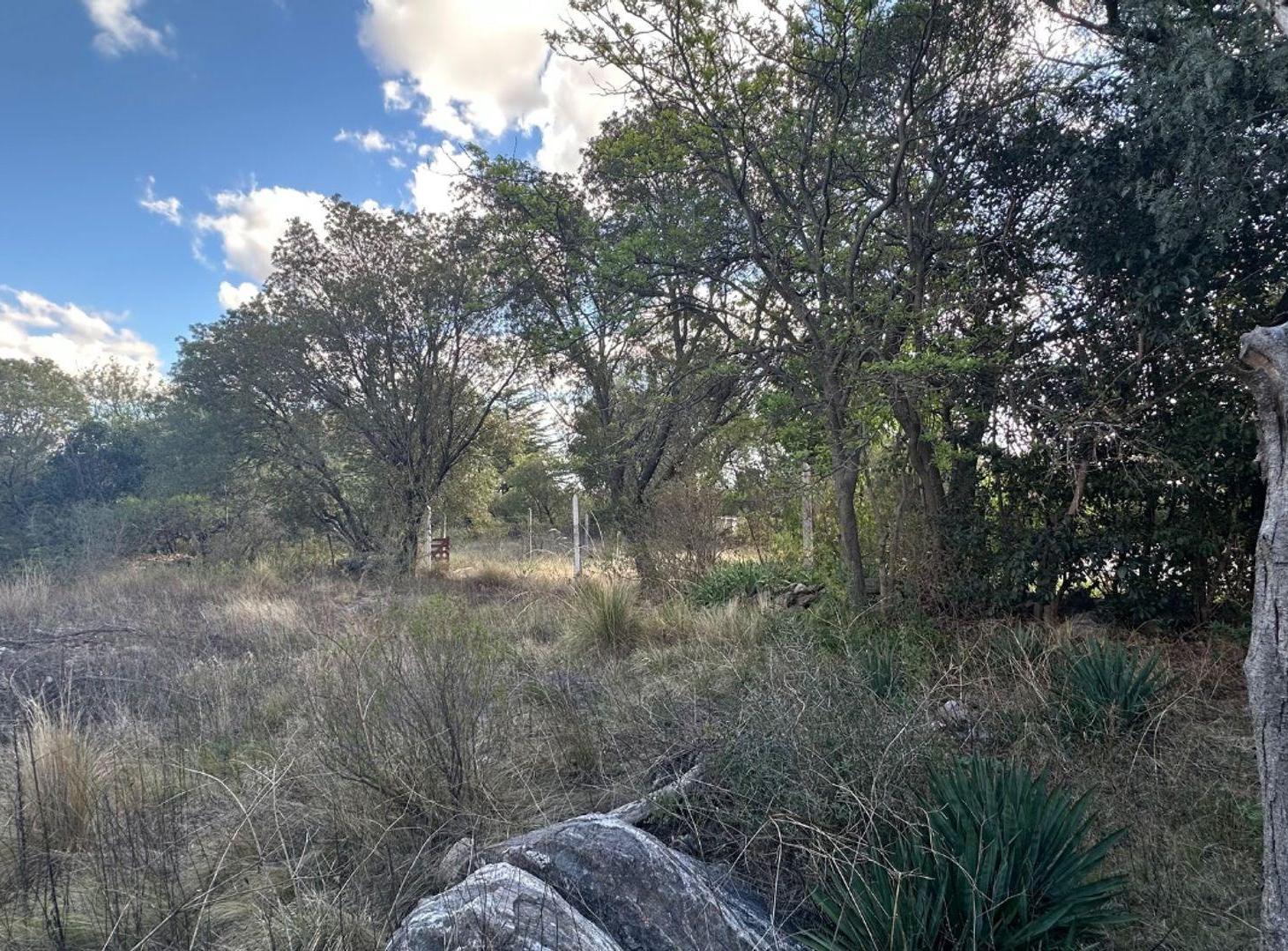 Foto de LOTE DE 1174,27m2 en VILLA ELENA, imagen 2
