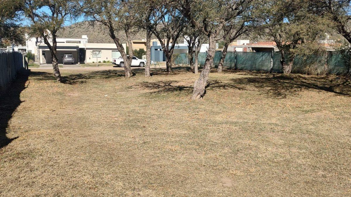 Foto de VENTA TERRENO PANCHA 2, imagen 5