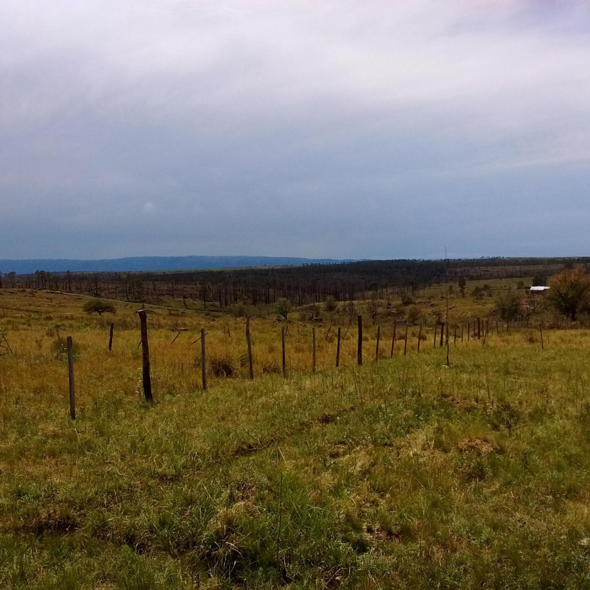 Terreno en Villa Yacanto! 3