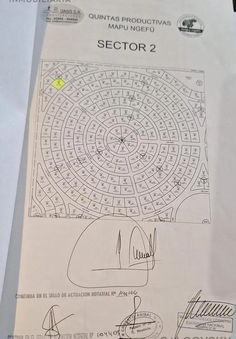 Plano 1