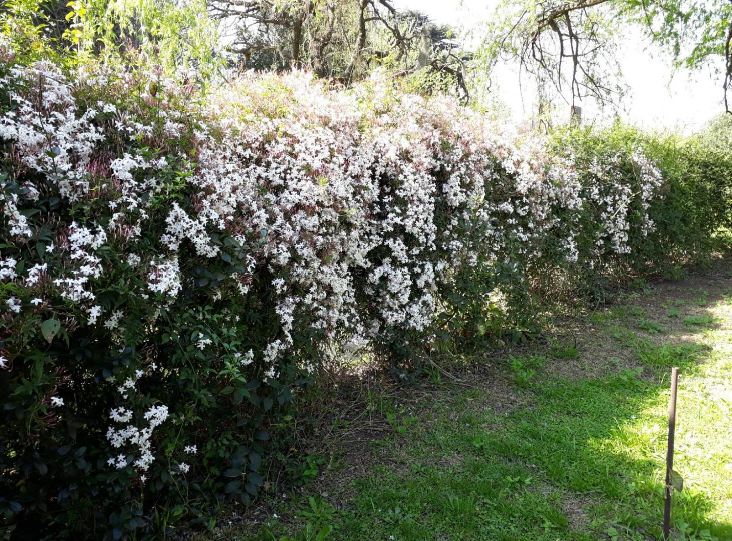 Foto de Casa en Funes, imagen 4