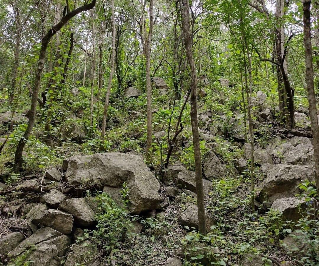 Terreno en Villa Silvina - Salsipuedes 2