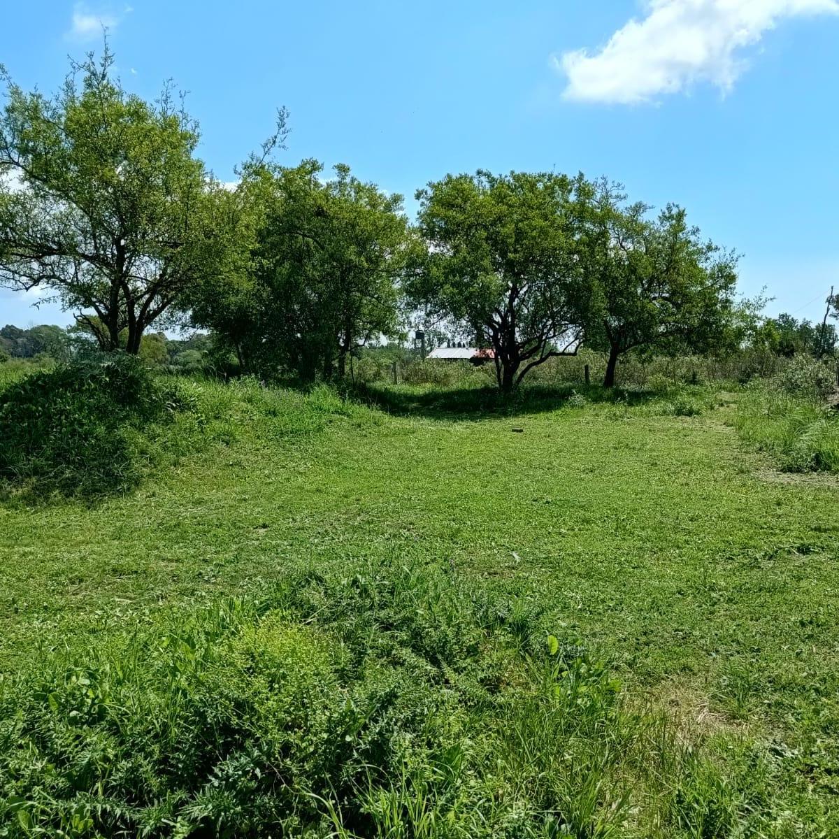 Venta Terreno - Lote en Florencio Varela 2