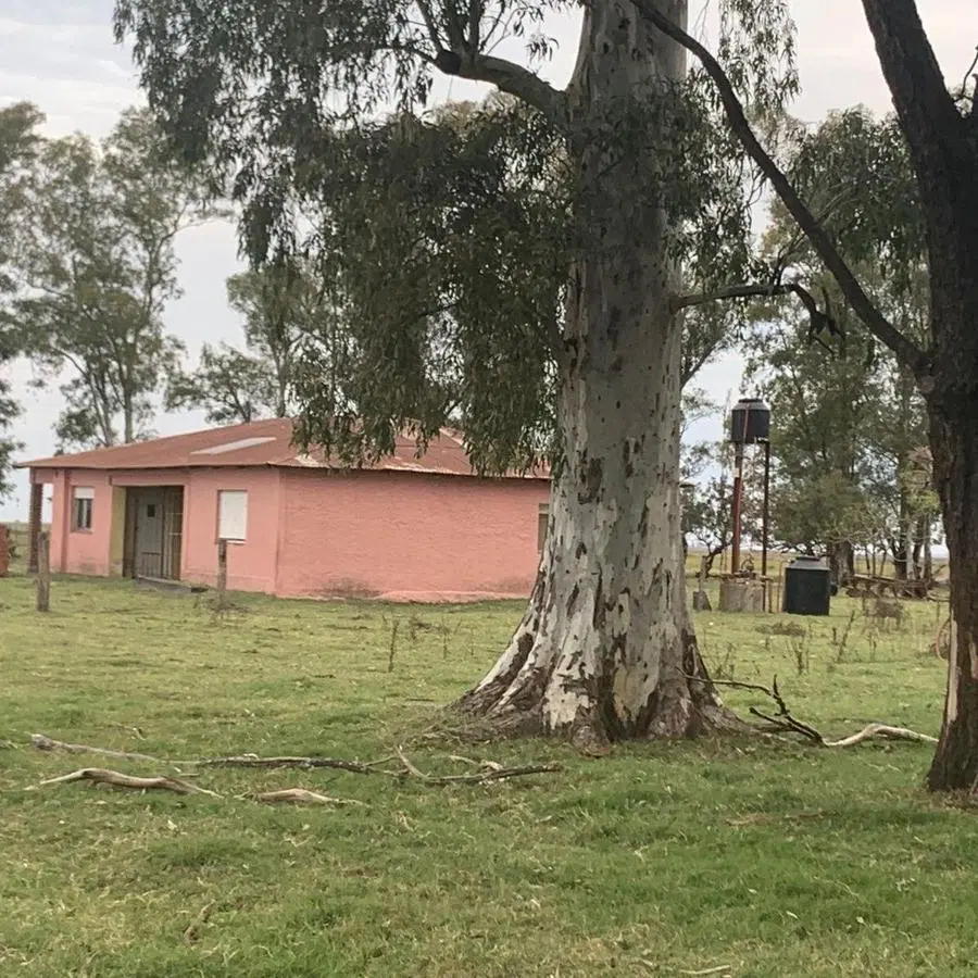 VENTA CAMPO  ROQUE PEREZ- PROVINCIA 5