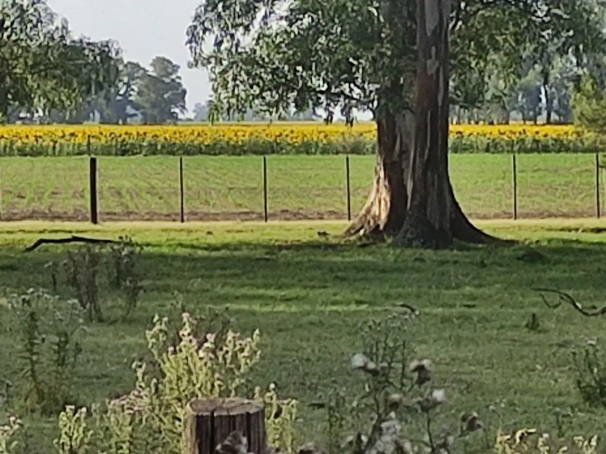 VENTA CAMPO  ROQUE PEREZ- PROVINCIA 3
