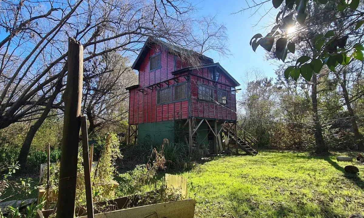 Casa Tigre Delta 3