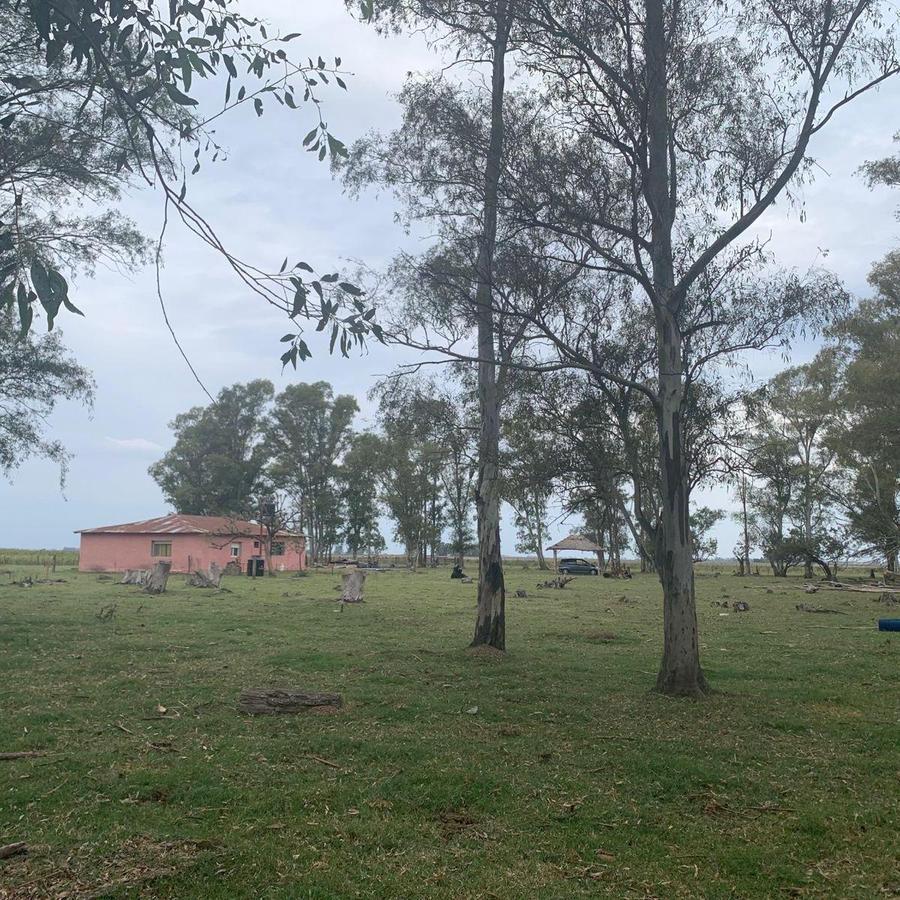 Foto de VENTA CAMPO ROQUE PEREZ- PROVINCIA, imagen 2