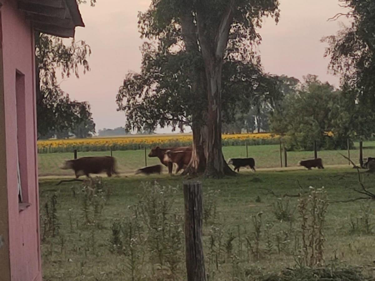 Foto de VENTA CAMPO ROQUE PEREZ- PROVINCIA, imagen 1
